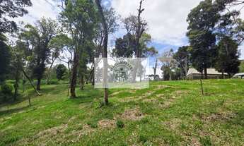 Imagem 5: Terreno urbano com 3.215 m², aceita financiamento, terreno plano com araucarias