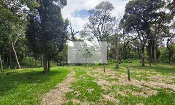 Imagem 3: Terreno urbano com 3.215 m², aceita financiamento, terreno plano com araucarias