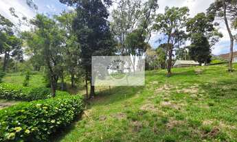 Imagem 7: Terreno urbano com 3.215 m², aceita financiamento, terreno plano com araucarias