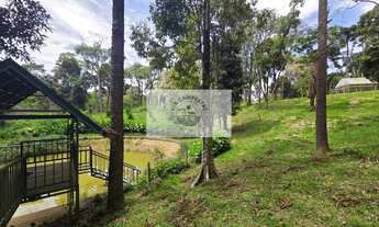 Imagem 2: Terreno urbano com 3.215 m², aceita financiamento, terreno plano com araucarias