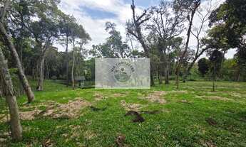 Imagem 4: Terreno urbano com 3.215 m², aceita financiamento, terreno plano com araucarias