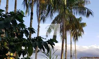 Imagem 3: Terreno com 1.125 m², de frente para a Estrada da Ilha, em Pirabeiraba