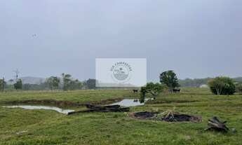 Imagem 3: Terreno rural em Pirabeiraba com 152.000 m2, pastagem, rio, nascente, casa boa