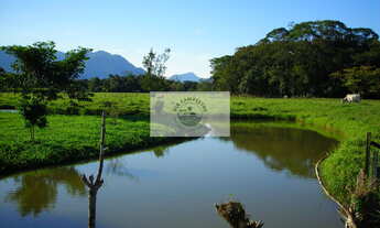 Imagem 5: Terreno rural em Pirabeiraba com 152.000 m2, pastagem, rio, nascente, casa boa