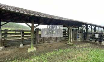 Imagem 4: Terreno rural em Pirabeiraba com 152.000 m2, pastagem, rio, nascente, casa boa