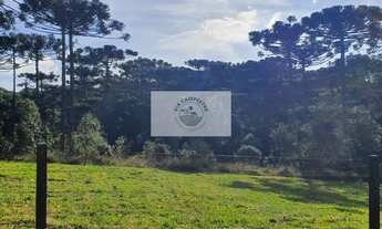 Imagem: Terreno 8.142 m², escriturado, pode ser