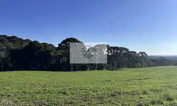 Imagem 7: Area rural com 45 hectares, escriturada, atrás do condominio Trilha dos Carroções