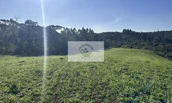 Imagem 4: Area rural com 45 hectares, escriturada, atrás do condominio Trilha dos Carroções