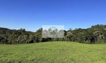 Imagem 3: Area rural com 45 hectares, escriturada, atrás do condominio Trilha dos Carroções