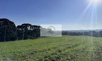 Imagem: Area rural com 45 hectares, escriturada