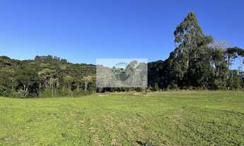 Imagem 5: Area rural com 45 hectares, escriturada, atrás do condominio Trilha dos Carroções