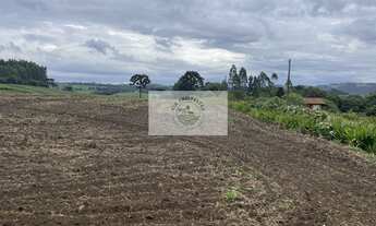 Imagem: Sítio com 48.000 m², todo limpo, ótimo