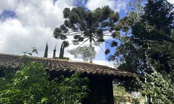 Imagem 7: Residencia com 4 dormitorios, em Campo Alegre, rua pavimentada, lugar super tranquilo