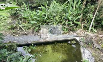 Imagem 6: Sítio escriturado na Estrada Quiriri, com 13.659 m2, com ampla piscina, lagos, residencia