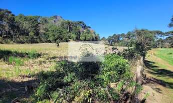 Imagem 3: Sítio com 30.000 m², escriturado, região de Avenquinha