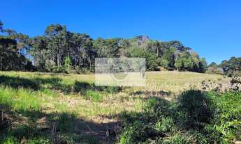 Imagem 2: Sítio com 30.000 m², escriturado, região de Avenquinha