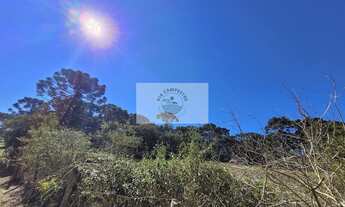 Imagem 7: Sítio com 30.000 m², escriturado, região de Avenquinha