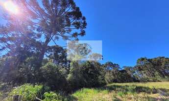 Imagem: Sítio com 30.000 m², escriturado, região