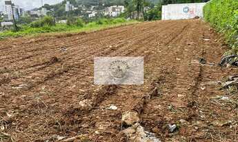 Imagem 5: Terreno alto na rua Xanxere, bairro Saguaçu com 871 m2, com linda vista
