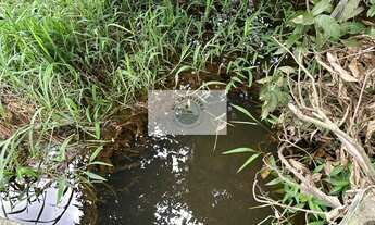 Imagem 6: Terreno com 9.292 m2, de frente para o asfalto, Estrada Timbé, com 2 casas, galpão, rancho