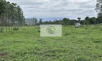 Imagem 4: Terreno com 9.292 m2, de frente para o asfalto, Estrada Timbé, com 2 casas, galpão, rancho