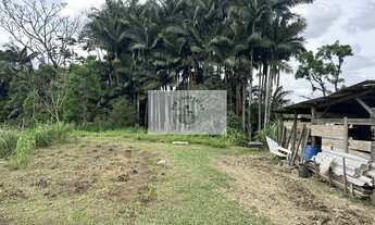 Imagem 5: Terreno com 9.292 m2, de frente para o asfalto, Estrada Timbé, com 2 casas, galpão, rancho