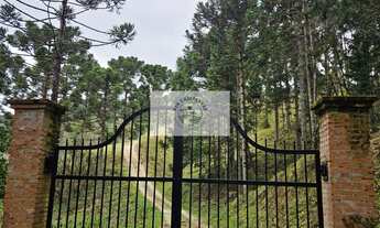 Imagem: Sítio com 20.000 m², escriturado, pertinho