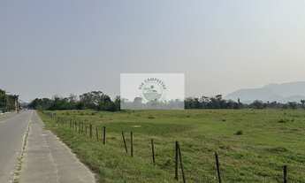 Imagem 7: Amplo terreno na Estrada da Ilha com 139.057 m², plano, cercado, com casas, analisa parcel