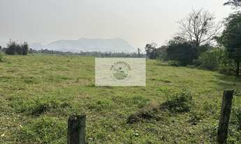 Imagem 2: Amplo terreno na Estrada da Ilha com 139.057 m², plano, cercado, com casas, analisa parcel