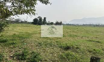 Imagem 3: Amplo terreno na Estrada da Ilha com 139.057 m², plano, cercado, com casas, analisa parcel