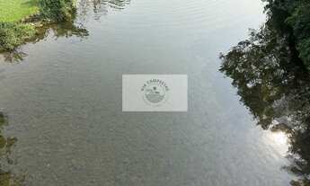 Imagem 5: Amplo terreno na Estrada da Ilha com 139.057 m², plano, cercado, com casas, analisa parcel