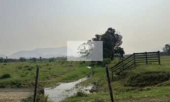 Imagem 6: Amplo terreno na Estrada da Ilha com 139.057 m², plano, cercado, com casas, analisa parcel