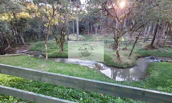 Imagem 5: Sítio com 20.000 m², no Lageado, com riacho e lindas araucarias, 100 metros do asfalto