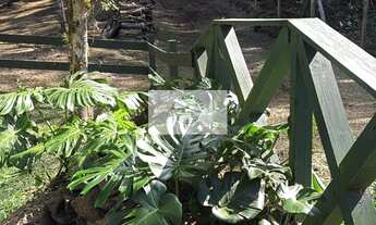 Imagem 3: Sítio com 20.000 m², no Lageado, com riacho e lindas araucarias, 100 metros do asfalto