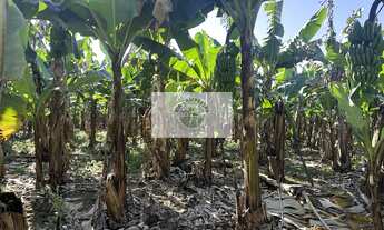 Imagem 7: Sítios apartir de 20.000 m², Estrada do Pico, todos planos, escriturados, com lindas vista