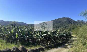 Imagem 3: Sítios apartir de 20.000 m², Estrada do Pico, todos planos, escriturados, com lindas vista
