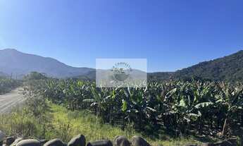 Imagem 4: Sítios apartir de 20.000 m², Estrada do Pico, todos planos, escriturados, com lindas vista