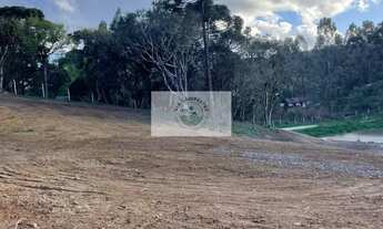Imagem 5: Sítio com 5.200 m², Bateias de Baixo, com lago e araucárias, frente para rua pavimentada
