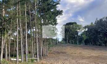 Imagem 7: Sítio com 5.200 m², Bateias de Baixo, com lago e araucárias, frente para rua pavimentada