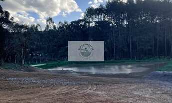 Imagem 6: Sítio com 5.200 m², Bateias de Baixo, com lago e araucárias, frente para rua pavimentada