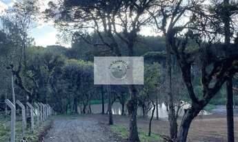 Imagem 3: Sítio com 5.200 m², Bateias de Baixo, com lago e araucárias, frente para rua pavimentada