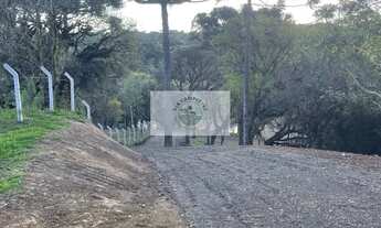 Imagem: Sítio com 5.200 m², Bateias de Baixo