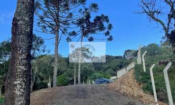 Imagem 4: Sítio com 5.200 m², Bateias de Baixo, com lago e araucárias, frente para rua pavimentada