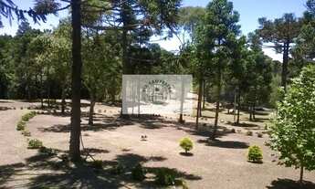 Imagem 4: Sítio com excelente residencia e mais 3 chalés semi-novos, terreno de 30.000 m²