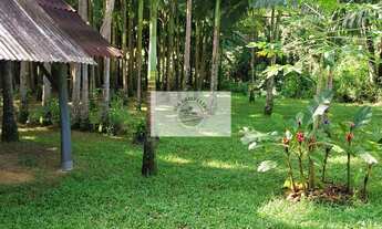 Imagem 5: Sítio com 5.000 m², todo cercado, com casa de madeira de 3 quartos, rua sem saída