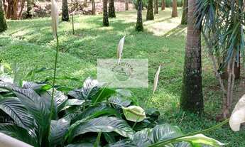 Imagem 2: Sítio com 5.000 m², todo cercado, com casa de madeira de 3 quartos, rua sem saída