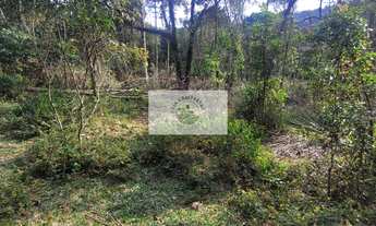 Imagem 4: Sítio escriturado com 52.000 m², com nascente e lindas araucarias