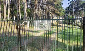 Imagem: Sítio escriturado com 52.000 m², com nascente