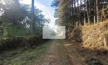 Imagem 3: Sítio escriturado com 52.000 m², com nascente e lindas araucarias