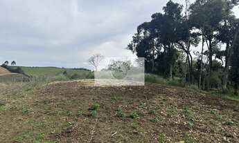 Imagem 5: Sítio com 40.800 m² em Campo Alegre, com lago, pastagem, plantação, casa, toda cercada